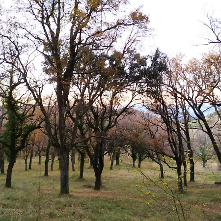 Chalet Xalet De Muntanya