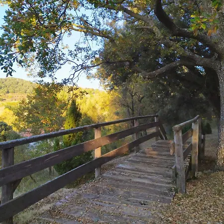 Xalet De Muntanya Chalet *